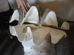 景点-亚龙湾中心广场·贝壳馆