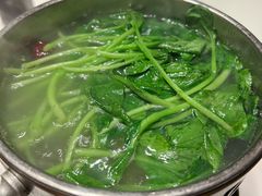 -初蓉丨遇见新川菜(亲贤街荣耀店)