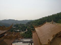 -东莞市大岭山森林公园