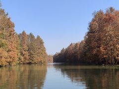 -上海海湾国家森林公园