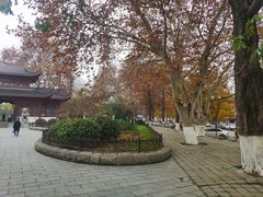 -堤角公园