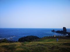-涉地可支