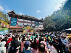 -西双版纳原始森林公园