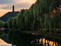 -北坞公园
