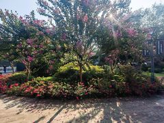 -杭州城北体育公园