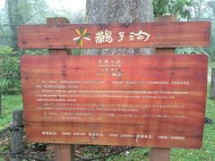 景点-燕子沟风景区