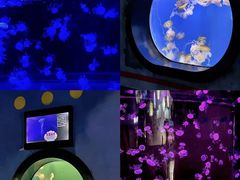 -烟台海昌鲸鲨海洋公园