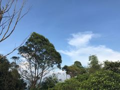 -火炉山森林公园