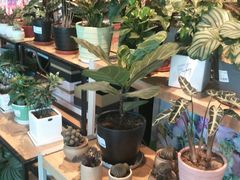 自助取餐区-7fresh七鲜(大族广场店)