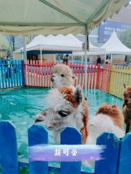 -萌宠亲子动物乐园(槐房万达店)