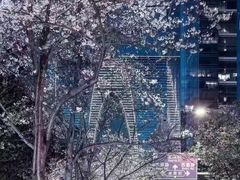 -中海财富中心