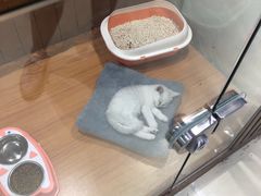 -龟与熊猫宠物公园(南坪店)