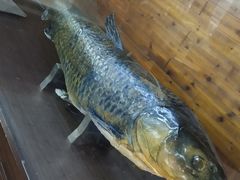 -南京金牛湖风景区