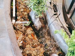 -湘芙蓉·湖南菜(椒江店)