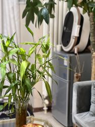 -演员的秘密·皮肤管理