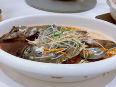 -国惠大酒楼(宝龙店)