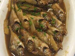 -大清花饺子(五五路店)