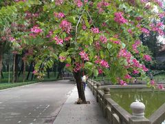 -广东革命历史博物馆办公楼