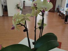 -陈树人纪念馆