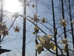-南京金牛湖风景区