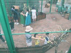 -杭州开元森泊度假乐园