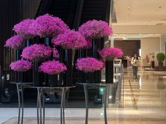 -上海中航虹桥机场泊悦酒店