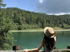 -武陵山森林公园