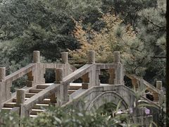 -上海醉白池公园