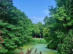 -月湖风景区