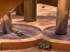 -南戴河国际娱乐中心