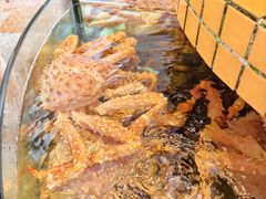 -荔城生鲜盛宴(番禺旗舰店)