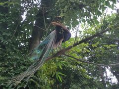 -泉州海丝野生动物世界