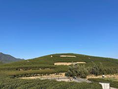 -龙坞茶村