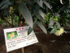 -兰陵国家农业公园