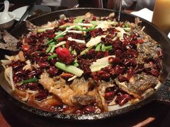-老板恋上鱼(高新万达店)