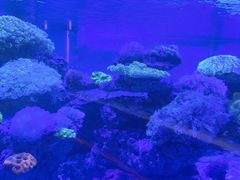 -上和臻品中国菜(花园街店)