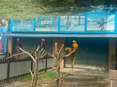 -秦皇岛野生动物园