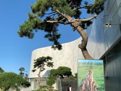 -罗红摄影艺术馆