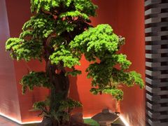 -阿伟海鲜楼·福建菜(延寿店)