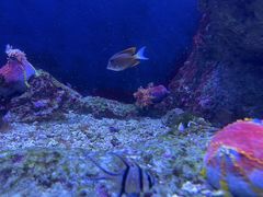 -成都浩海立方海洋公园