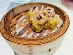 -新兴·金羊座·粤菜点心(乐峰店)
