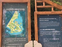 -南宁良凤江国家森林公园