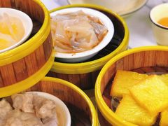 -肥佬夜茶(早茶·西乡店)