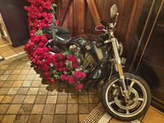 -碧特博格啤酒花园餐厅(芜湖路店)