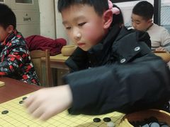 -智韵素养黎明练字(莘庄校区)