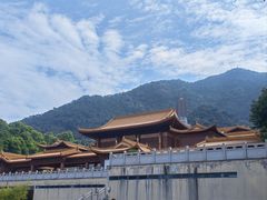 -深圳仙湖植物园
