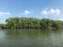 -长兴太湖图影湿地文化园
