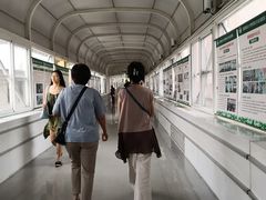 -首都医科大学附属北京友谊医院(西城院区)