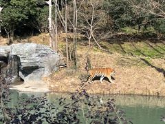 -宁波野生动物园
