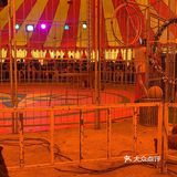 马戏团表演